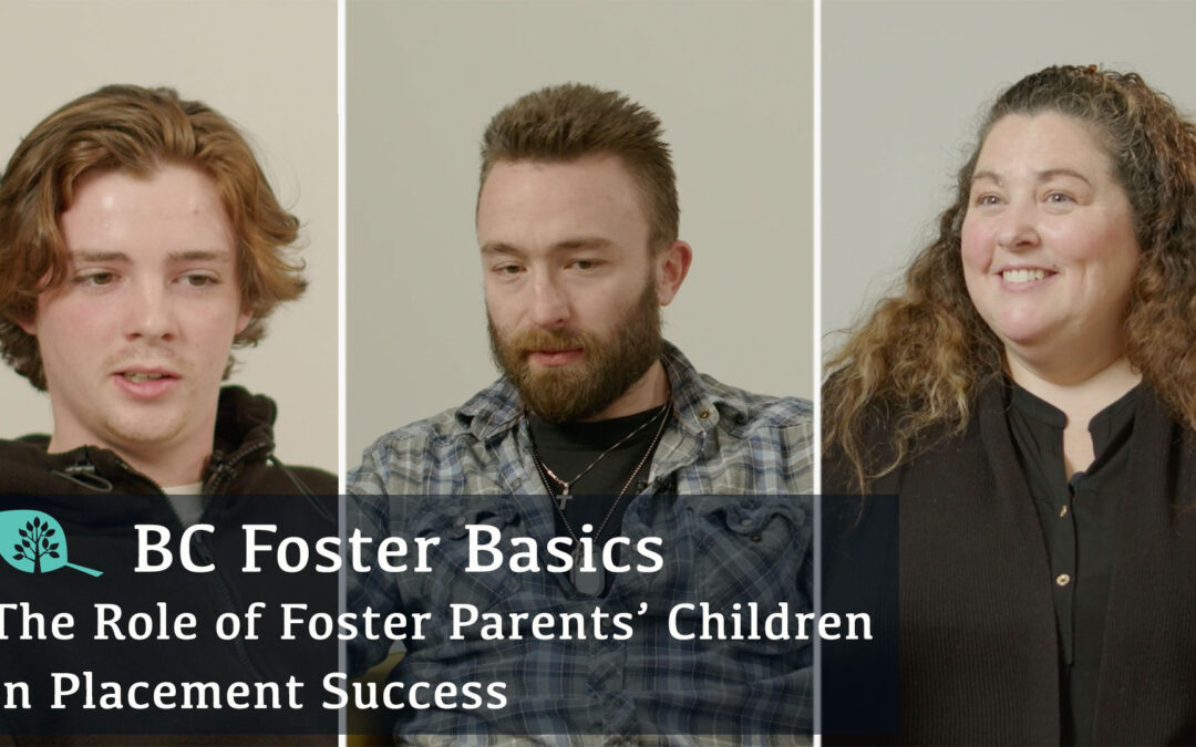 New BC Foster Basics Videos Uploaded