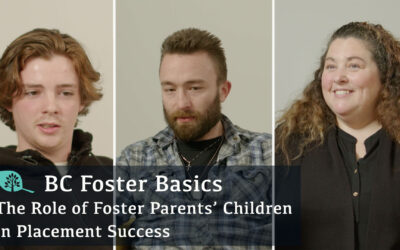 New BC Foster Basics Videos Uploaded