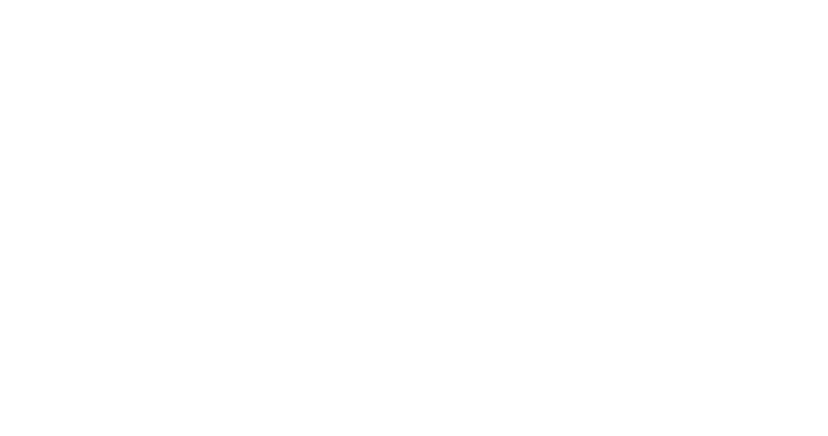 Megson Fitzpatrick logo