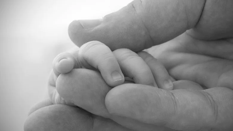 baby hand in adult hand 