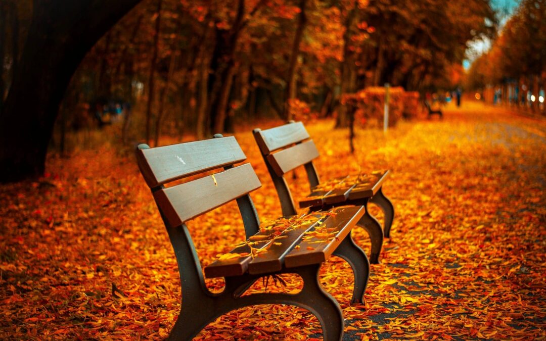 Caregiver Connection Get Together – Prince Rupert and Surrounding Areas