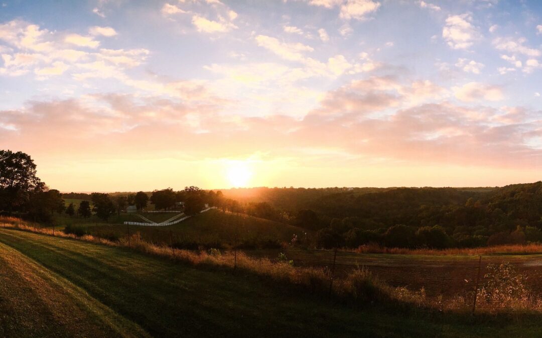 BCFPA & STFC ICS East Kootenay Event